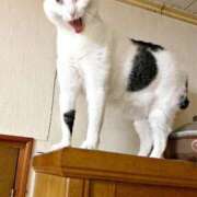 ヒメ日記 2025/11/10 22:34 投稿 咲本 ゆりあ バルボラ マリン