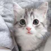 ヒメ日記 2025/11/12 23:27 投稿 咲本 ゆりあ バルボラ マリン