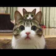 ヒメ日記 2025/11/12 23:33 投稿 咲本 ゆりあ バルボラ マリン