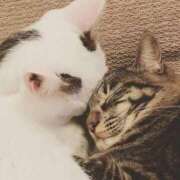 ヒメ日記 2025/11/24 18:27 投稿 咲本 ゆりあ バルボラ マリン