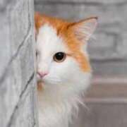 ヒメ日記 2025/11/25 18:27 投稿 咲本 ゆりあ バルボラ マリン