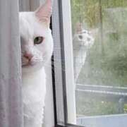 ヒメ日記 2025/11/25 18:35 投稿 咲本 ゆりあ バルボラ マリン