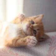 ヒメ日記 2025/11/28 18:57 投稿 咲本 ゆりあ バルボラ マリン