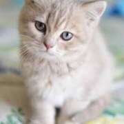 ヒメ日記 2025/11/28 19:00 投稿 咲本 ゆりあ バルボラ マリン