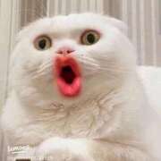 ヒメ日記 2025/12/02 18:33 投稿 咲本 ゆりあ バルボラ マリン