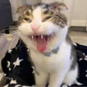 ヒメ日記 2025/12/02 18:47 投稿 咲本 ゆりあ バルボラ マリン