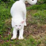 ヒメ日記 2025/12/05 20:47 投稿 咲本 ゆりあ バルボラ マリン