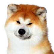 ヒメ日記 2025/12/06 19:21 投稿 咲本 ゆりあ バルボラ マリン