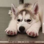 ヒメ日記 2025/12/08 19:07 投稿 咲本 ゆりあ バルボラ マリン