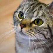 ヒメ日記 2025/12/09 17:17 投稿 咲本 ゆりあ バルボラ マリン