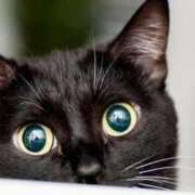 ヒメ日記 2025/12/09 17:27 投稿 咲本 ゆりあ バルボラ マリン