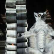 咲本 ゆりあ わーお バルボラ マリン