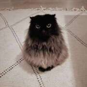 ヒメ日記 2026/01/20 20:57 投稿 咲本 ゆりあ バルボラ マリン