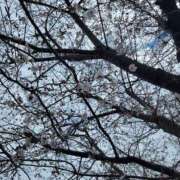 ヒメ日記 2025/03/29 19:32 投稿 えいみ 熟女の風俗最終章 宇都宮店