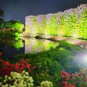 ヒメ日記 2025/04/26 20:32 投稿 えいみ 熟女の風俗最終章 宇都宮店