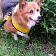 ヒメ日記 2025/07/09 18:21 投稿 えいみ 熟女の風俗最終章 宇都宮店