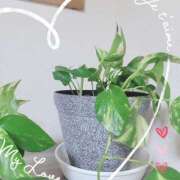 ヒメ日記 2025/07/18 04:01 投稿 えいみ 熟女の風俗最終章 宇都宮店