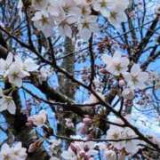 ヒメ日記 2025/07/20 02:41 投稿 えいみ 熟女の風俗最終章 宇都宮店