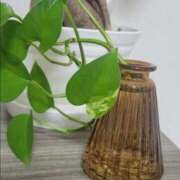 ヒメ日記 2025/07/27 02:01 投稿 えいみ 熟女の風俗最終章 宇都宮店