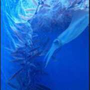 ヒメ日記 2025/08/25 16:59 投稿 えいみ 熟女の風俗最終章 宇都宮店