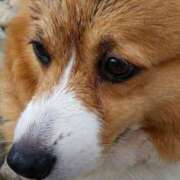 ヒメ日記 2025/09/02 23:31 投稿 えいみ 熟女の風俗最終章 宇都宮店