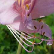 ヒメ日記 2025/09/18 16:21 投稿 えいみ 熟女の風俗最終章 宇都宮店