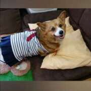 ヒメ日記 2025/09/30 11:51 投稿 えいみ 熟女の風俗最終章 宇都宮店