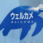ヒメ日記 2024/12/16 19:37 投稿 七海える 多恋人倶楽部