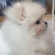 ヒメ日記 2025/10/16 19:02 投稿 七海える 多恋人倶楽部