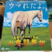 七海える フェリー旅後編！🏇 -359ℓ- 多恋人倶楽部