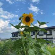 ヒメ日記 2026/08/02 18:05 投稿 七海える 多恋人倶楽部