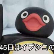 ヒメ日記 2024/12/23 20:53 投稿 タマガシラ　玉頭 女の子市場