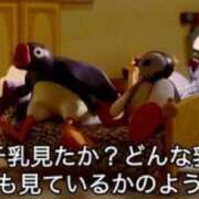 ヒメ日記 2025/01/11 22:18 投稿 タマガシラ　玉頭 女の子市場