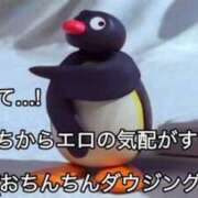 ヒメ日記 2025/01/26 04:18 投稿 タマガシラ　玉頭 女の子市場