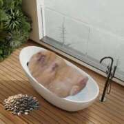 ヒメ日記 2025/04/04 19:02 投稿 タマガシラ　玉頭 女の子市場