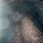 ヒメ日記 2025/04/05 15:48 投稿 タマガシラ　玉頭 女の子市場