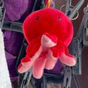 ヒメ日記 2025/04/08 19:18 投稿 タマガシラ　玉頭 女の子市場