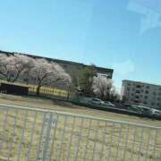 ヒメ日記 2025/04/09 10:58 投稿 タマガシラ　玉頭 女の子市場