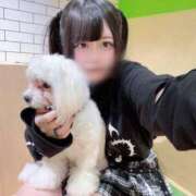 ヒメ日記 2025/03/01 08:13 投稿 ゆら ワンダフル