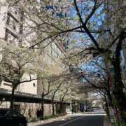 ヒメ日記 2025/02/25 14:21 投稿 新人・泉(いずみ) グランドオペラ福岡