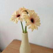 ヒメ日記 2025/05/02 11:36 投稿 新人・泉(いずみ) グランドオペラ福岡