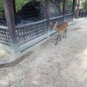 ヒメ日記 2025/05/15 09:00 投稿 にこ 激安ドットコム