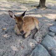 ヒメ日記 2025/07/02 12:02 投稿 にこ 激安ドットコム