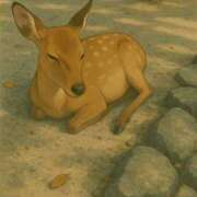 ヒメ日記 2025/08/15 11:11 投稿 にこ 激安ドットコム