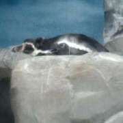 ヒメ日記 2025/09/01 13:35 投稿 にこ 激安ドットコム