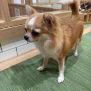 ヒメ日記 2025/10/27 13:52 投稿 にこ 激安ドットコム