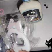 ヒメ日記 2025/12/02 13:05 投稿 そら ミルキーパイ