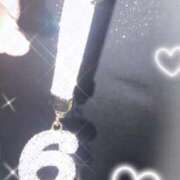 ヒメ日記 2025/12/29 15:15 投稿 そら ミルキーパイ