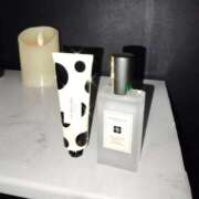 ヒメ日記 2025/12/30 09:05 投稿 そら ミルキーパイ