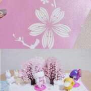 ヒメ日記 2026/04/09 01:58 投稿 そら ミルキーパイ